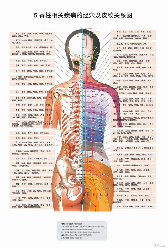 why relax whole body and spine